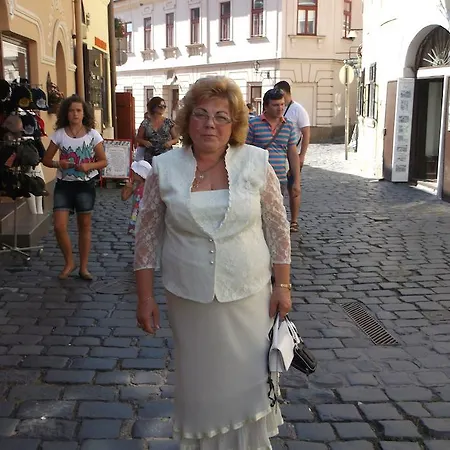 Gasthof Barokk Vendeghaz 3*